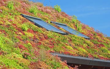 Rhitongue living roof systems