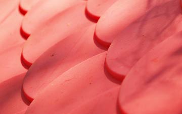 Rhitongue plastic roof costs