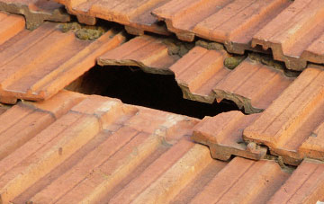 roof repair Rhitongue, Highland