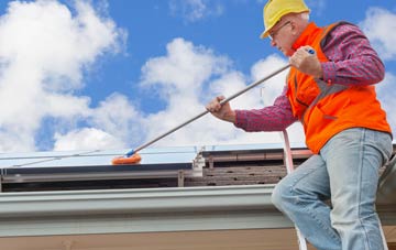 Rhitongue soft wash roof cleaning